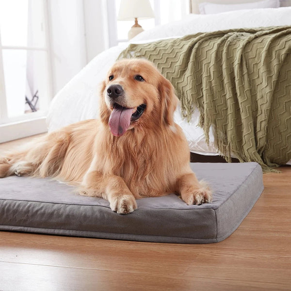 Orthopedic Dog Bed Orthopedic Waterproof Dog Bed with Washable Cover