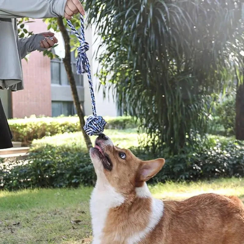 Dog Tree Tug Toy Random Color / United States Tug-of-War Tree Tug Toy for Active Dogs