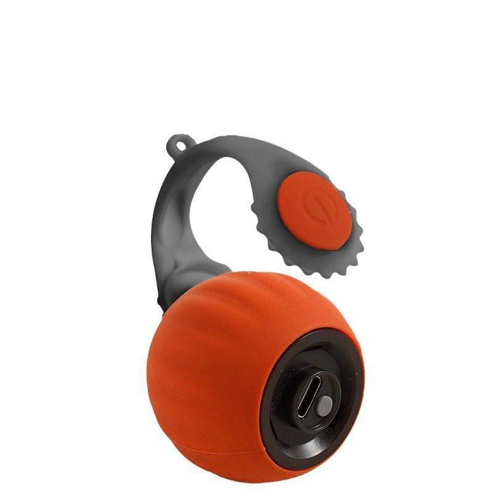 {{ Auto Dog Toy Ball – Motion-Activated Rechargeable Toy }} dog and cat toy from ZoomieGood.