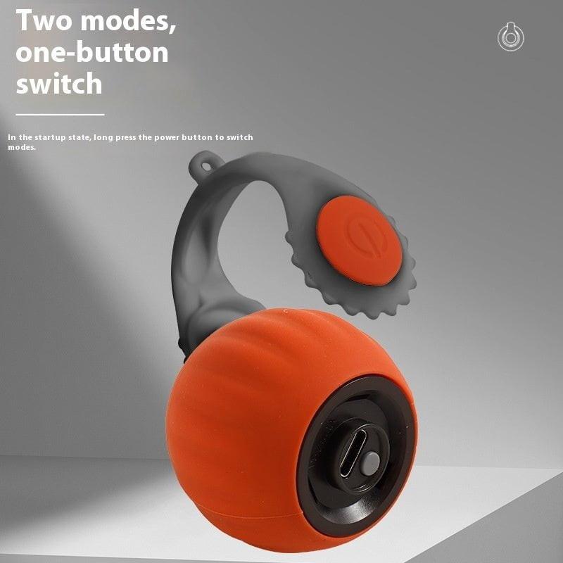 {{ Auto Dog Toy Ball – Motion-Activated Rechargeable Toy }} dog and cat toy from ZoomieGood.