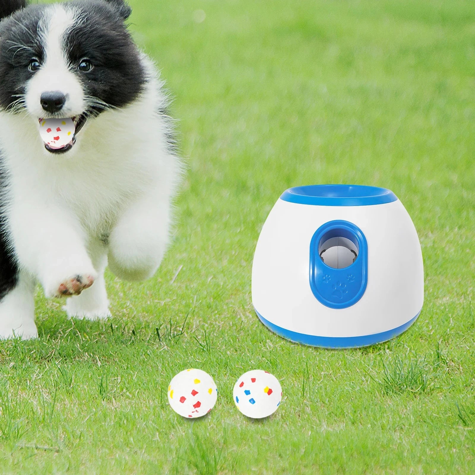 Automatic Dog Ball Launcher United States / Blue Automatic Dog Ball Launcher – 10–30ft Adjustable