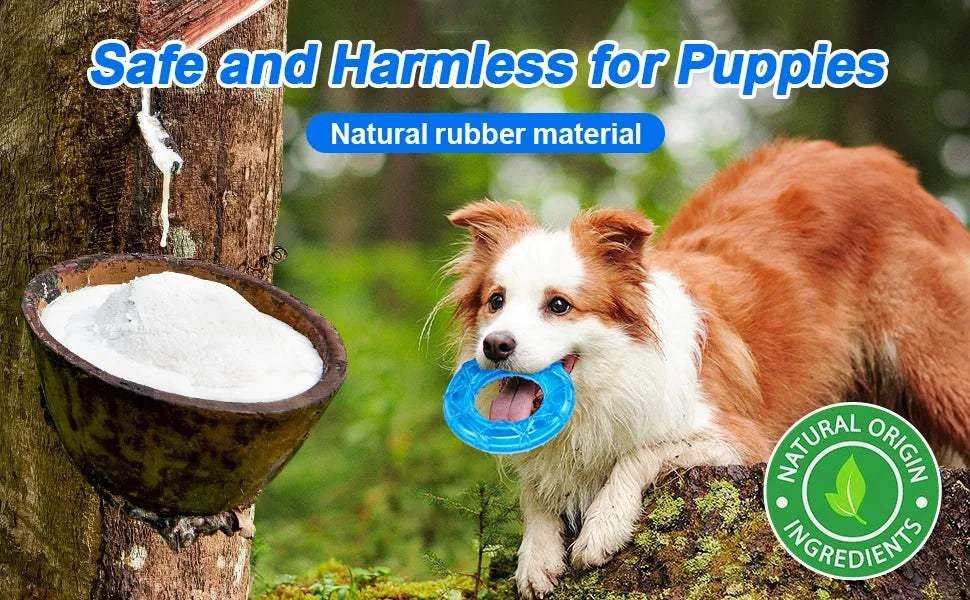 Dog Cooling Chew Toys 3pcs Dog Cooling Chew Toys (3pcs) – Summer Relief Set