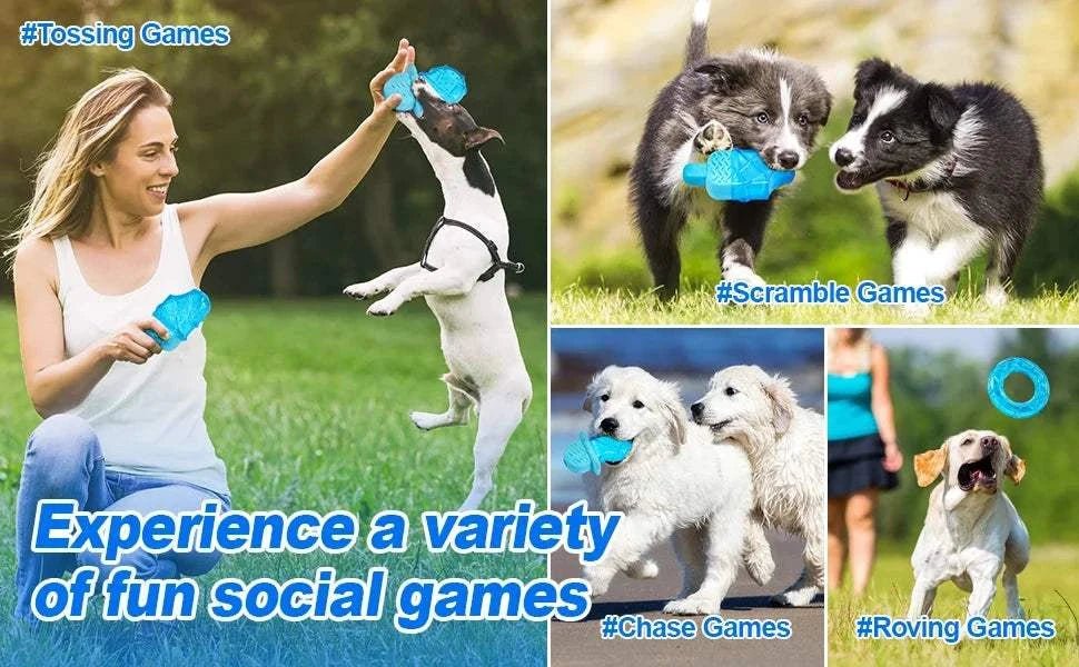 Dog Cooling Chew Toys 3pcs Dog Cooling Chew Toys (3pcs) – Summer Relief Set