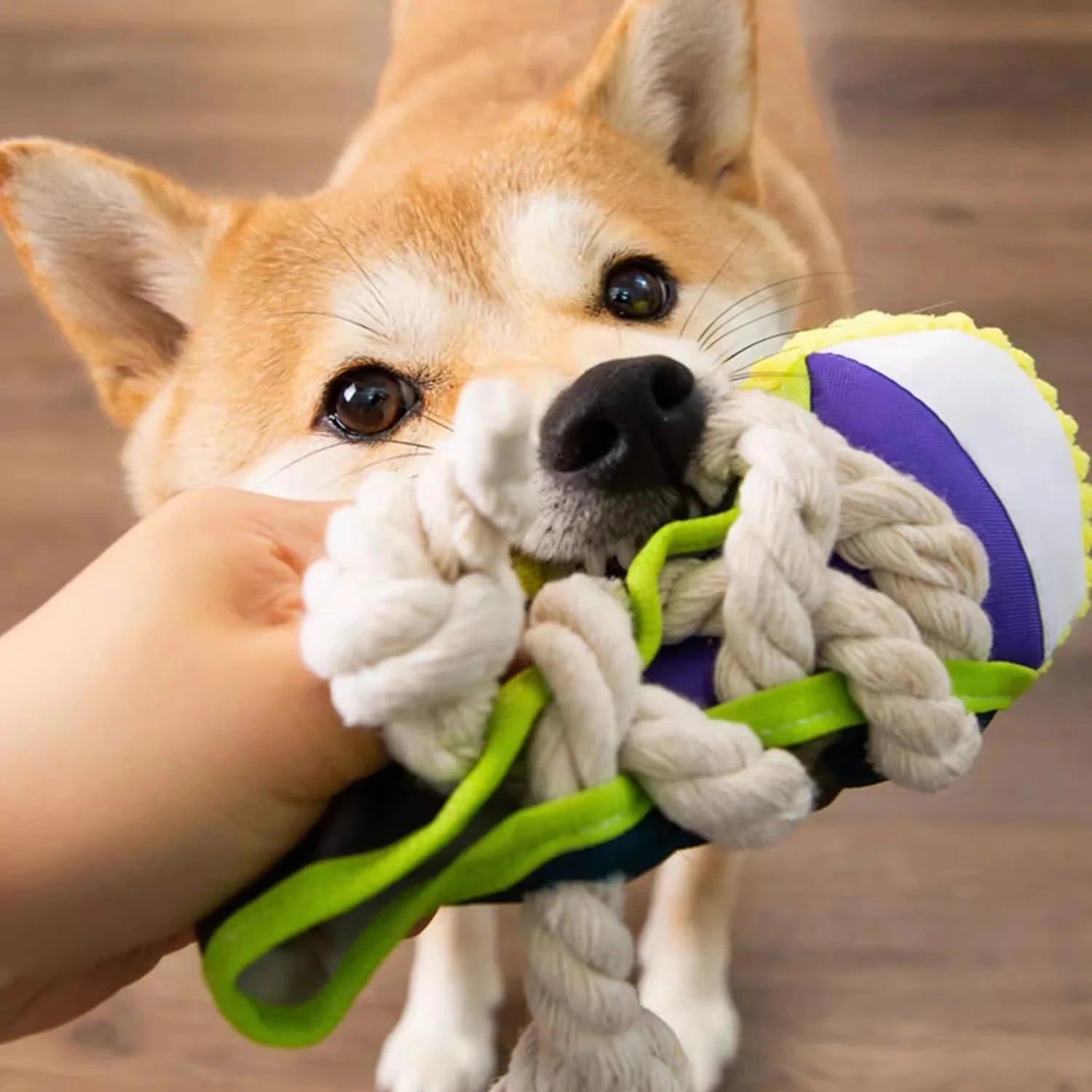 Interactive Dog Toys Durable Grey Chew Toy with Squeaky Stick & Rope
