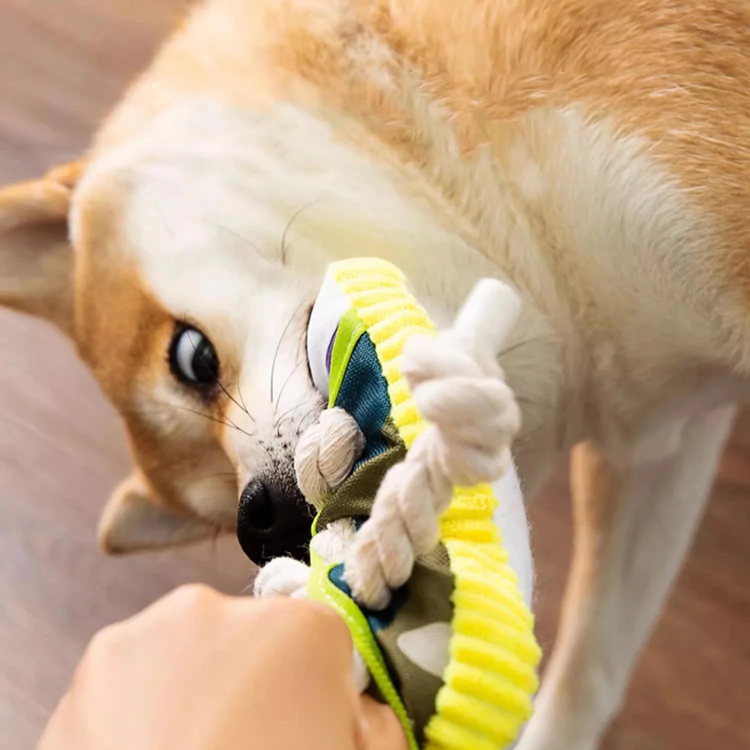 Interactive Dog Toys Durable Grey Chew Toy with Squeaky Stick & Rope