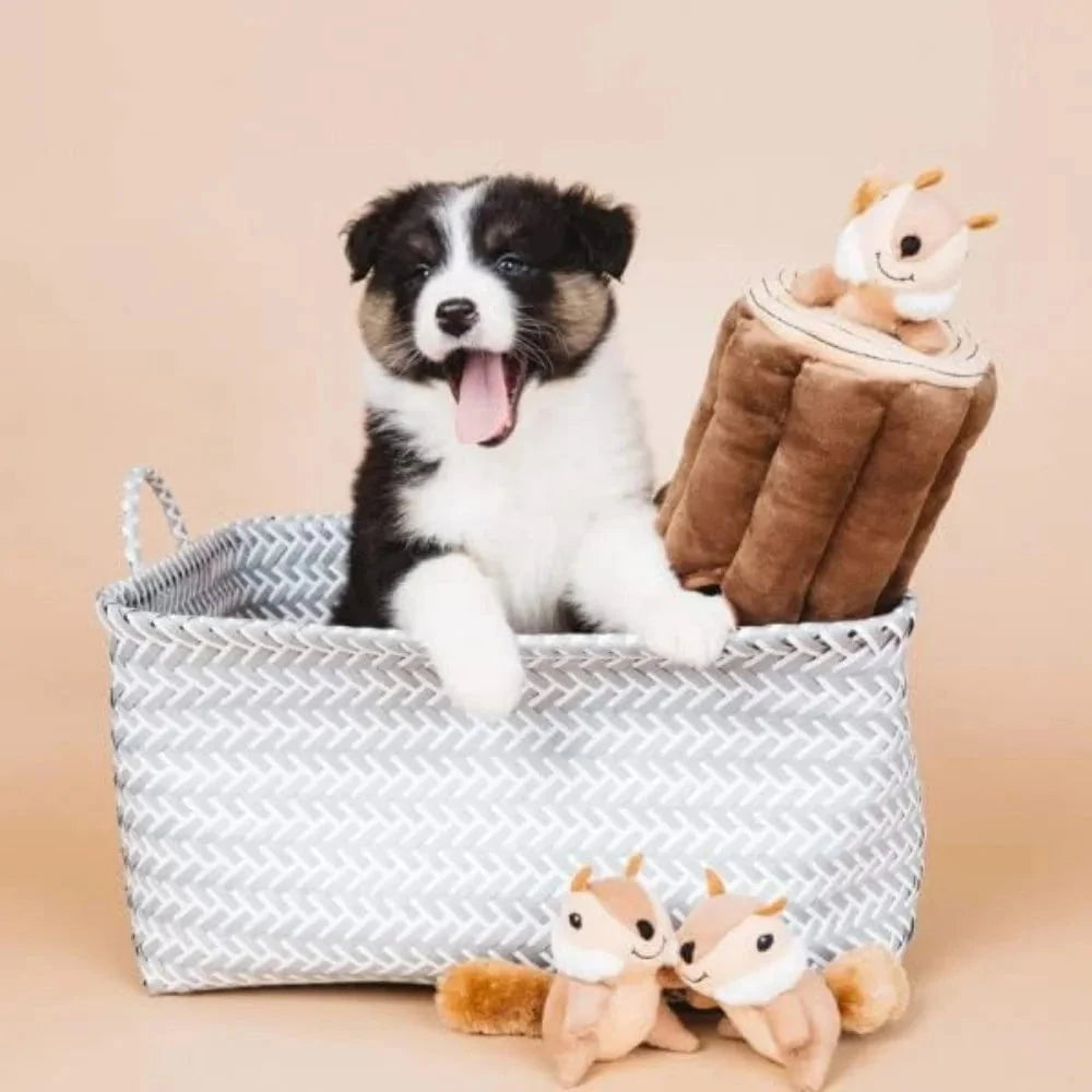 Plush Dog Puzzles brown-1pc / United States Interactive Hide & Seek Dog Puzzle Toy – Chipmunk Fun