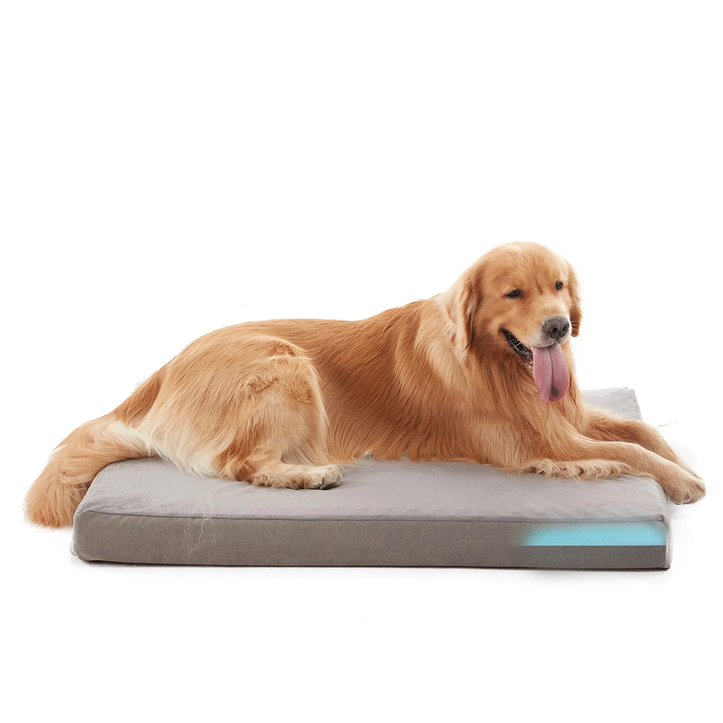 Orthopedic Dog Bed GRAY / M / United States Orthopedic Waterproof Dog Bed with Washable Cover