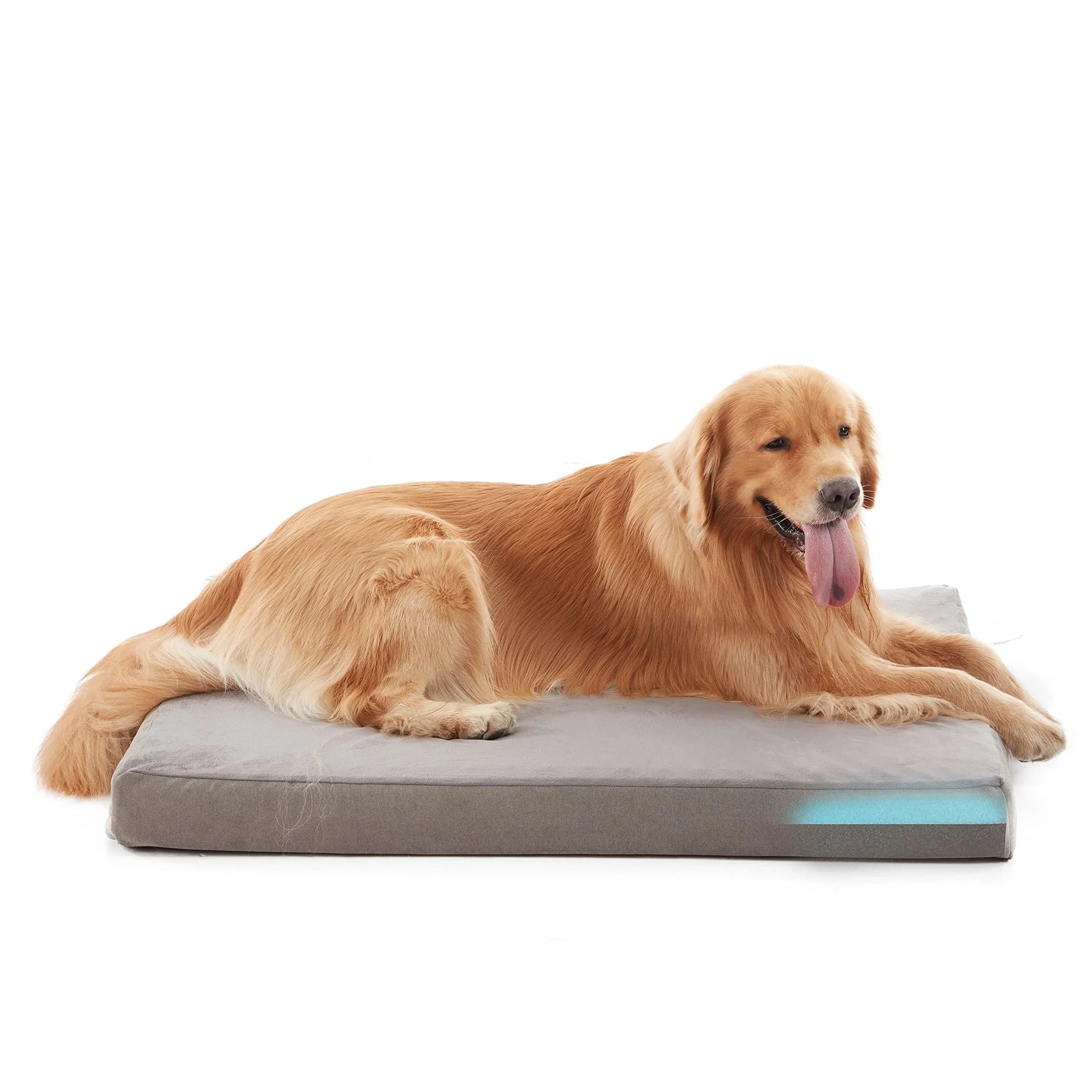 Orthopedic Dog Bed GRAY / M / United States Orthopedic Waterproof Dog Bed with Washable Cover