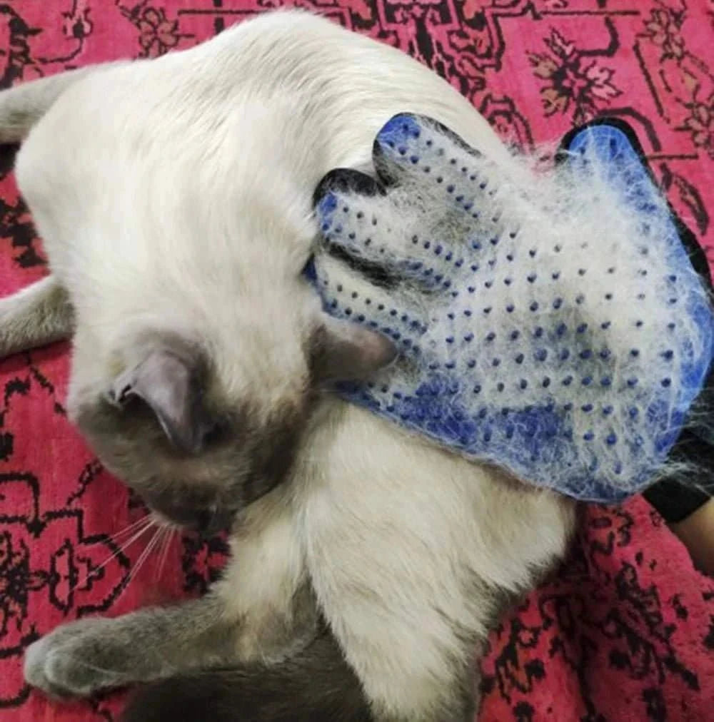 Pet Grooming Glove Random color M Pet Grooming Glove – Shedding & Massage Mitt for Dogs