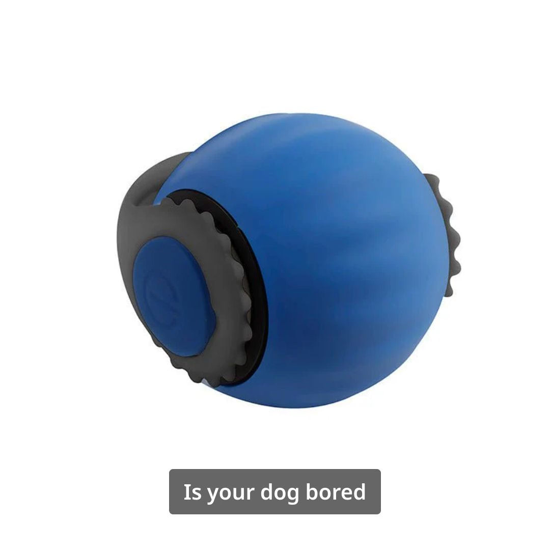 {{ Auto Dog Toy Ball – Motion-Activated Rechargeable Toy }} dog and cat toy from ZoomieGood.
