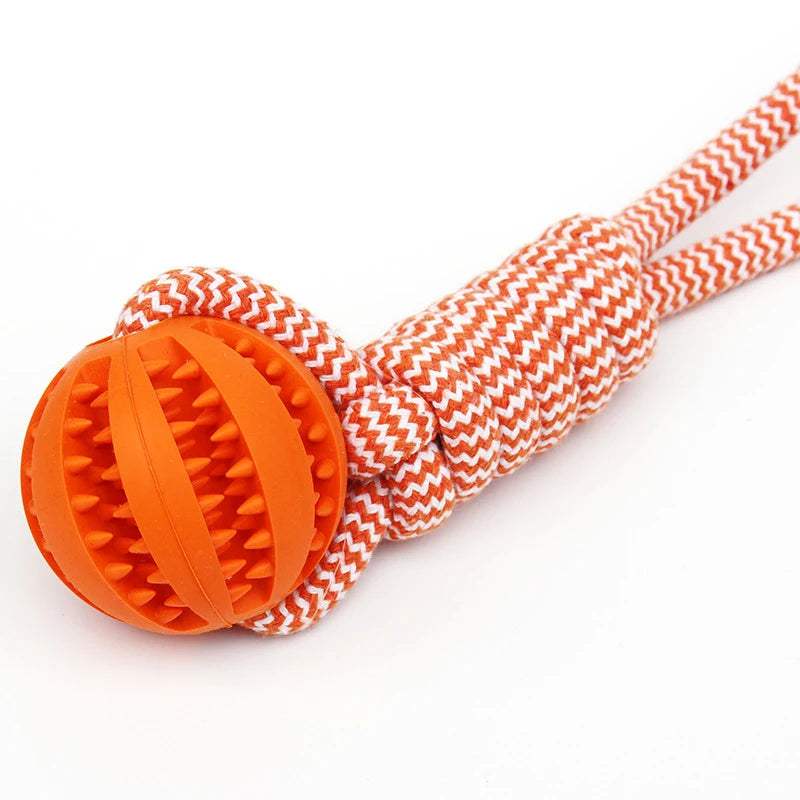 Rubber Dog Ball Rubber Dog Ball – Treat Toy & Dental Chew in 3 Sizes