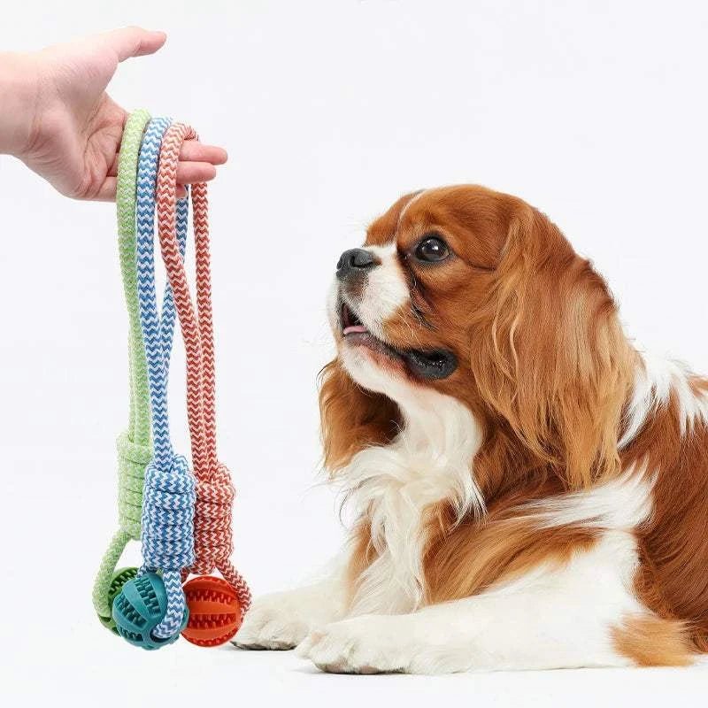 Rubber Dog Ball Rubber Dog Ball – Treat Toy & Dental Chew in 3 Sizes