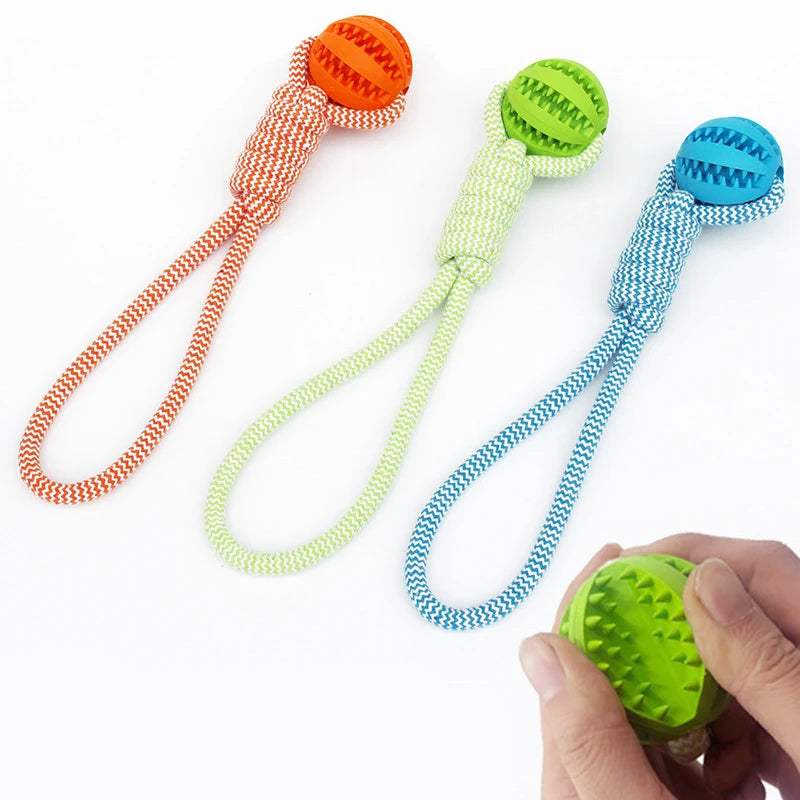 Rubber Dog Ball Rubber Dog Ball – Treat Toy & Dental Chew in 3 Sizes
