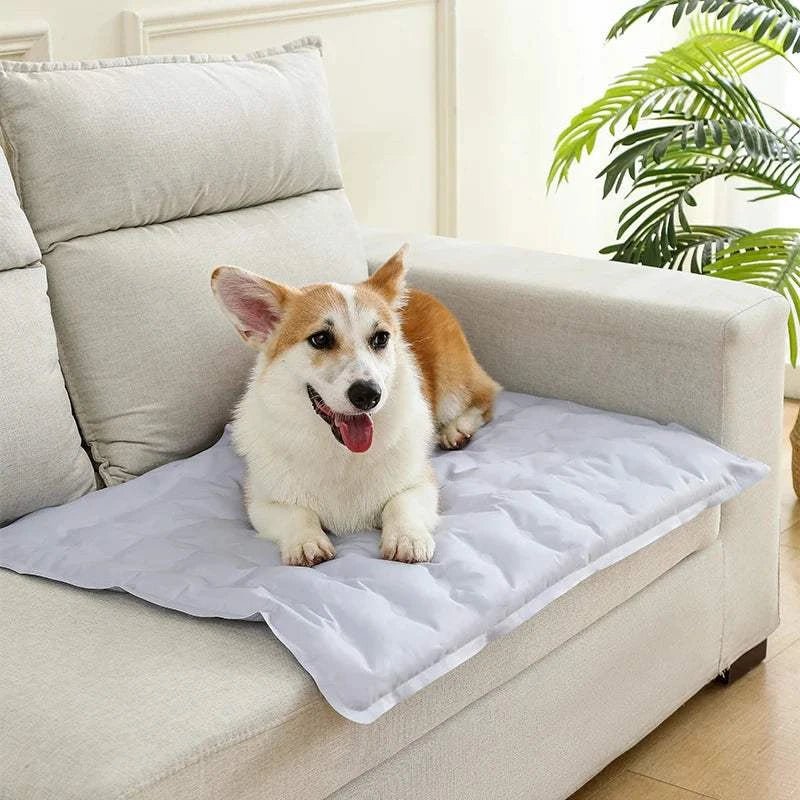 Self - Cooling Dog Mat – Summer Crate Bed for Pets - Fortunato Store LLCFortunato Store LLC Cooling Pet Mat Self - Cooling Dog Mat – Summer Crate Bed for PetsBlueS 40x50cm