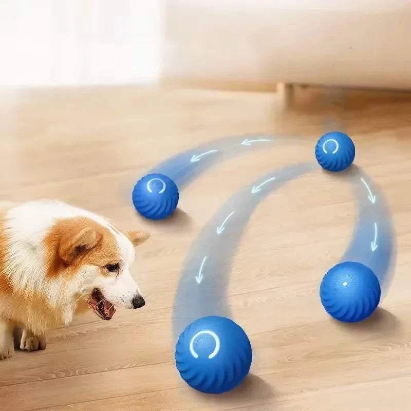 {{ Smart Jumping Dog Ball – USB Bouncing Toy }} dog and cat toy from ZoomieGood.