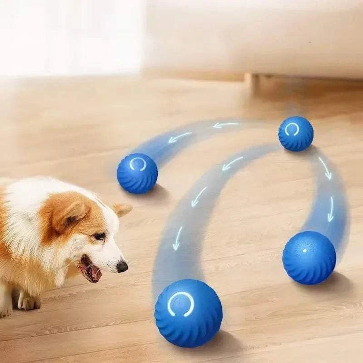 {{ Smart Jumping Dog Ball – USB Bouncing Toy }} dog and cat toy from ZoomieGood.