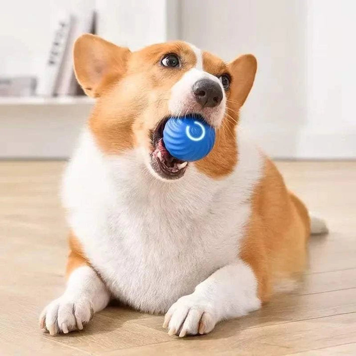 {{ Smart Jumping Dog Ball – USB Bouncing Toy }} dog and cat toy from ZoomieGood.