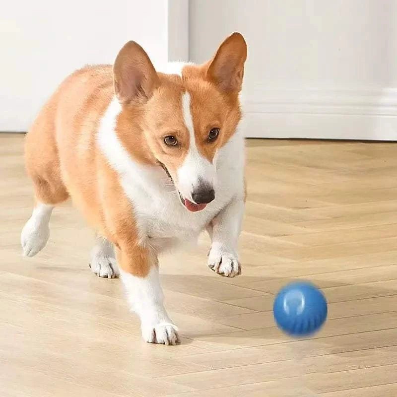 {{ Smart Jumping Dog Ball – USB Bouncing Toy }} dog and cat toy from ZoomieGood.