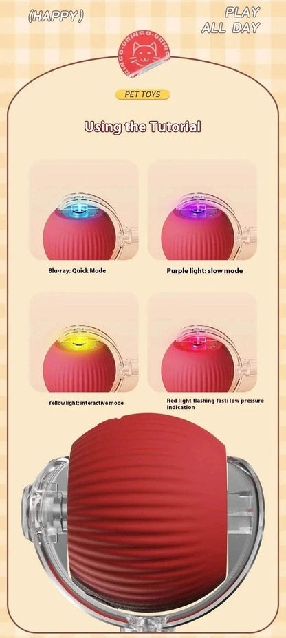 {{ Smart Rolling Dog Ball – Interactive USB Pet Toy }} dog and cat toy from ZoomieGood.