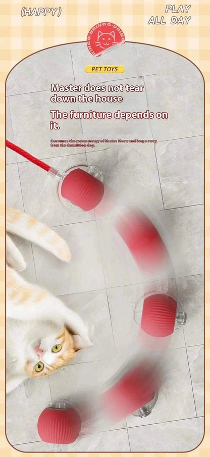 {{ Smart Rolling Dog Ball – Interactive USB Pet Toy }} dog and cat toy from ZoomieGood.