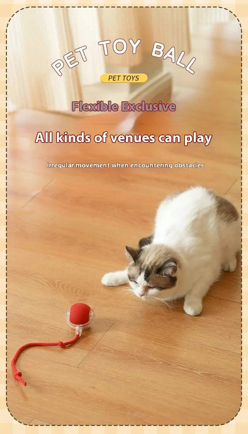 Smart Rolling Dog Ball Smart Rolling Dog Ball – Interactive USB Pet Toy
