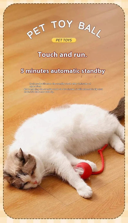 {{ Smart Rolling Dog Ball – Interactive USB Pet Toy }} dog and cat toy from ZoomieGood.