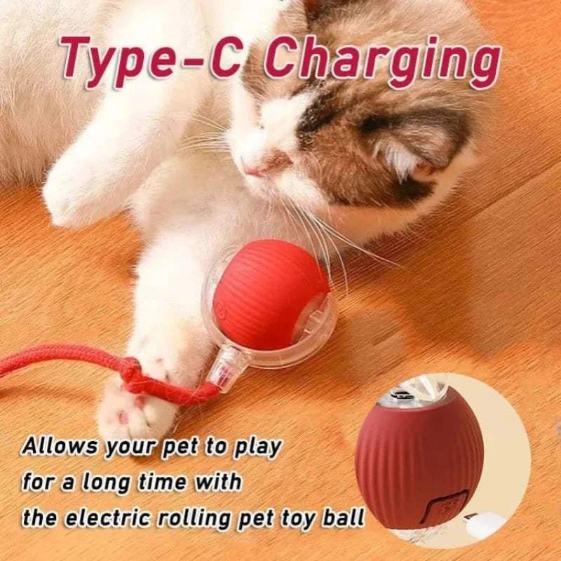 Smart Rolling Dog Ball Smart Rolling Dog Ball – Interactive USB Pet Toy