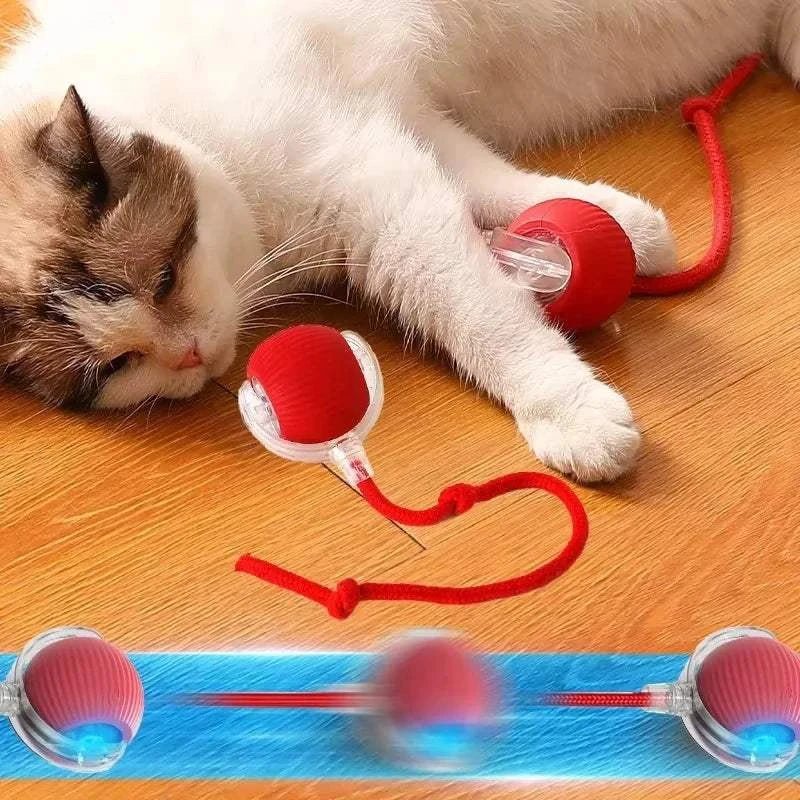 {{ Smart Rolling Dog Ball – Interactive USB Pet Toy }} dog and cat toy from ZoomieGood.
