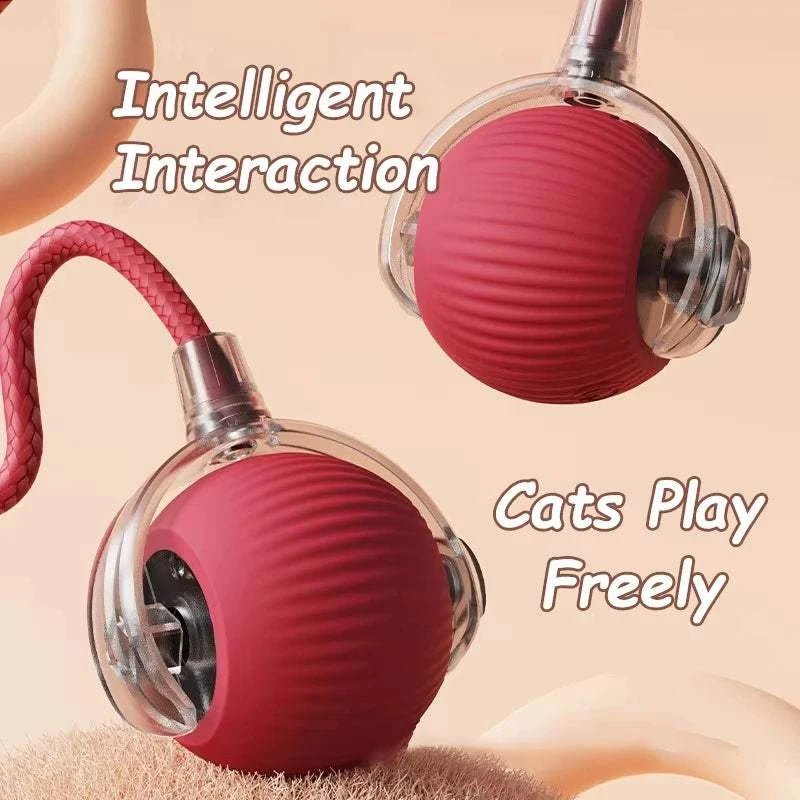 {{ Smart Rolling Dog Ball – Interactive USB Pet Toy }} dog and cat toy from ZoomieGood.