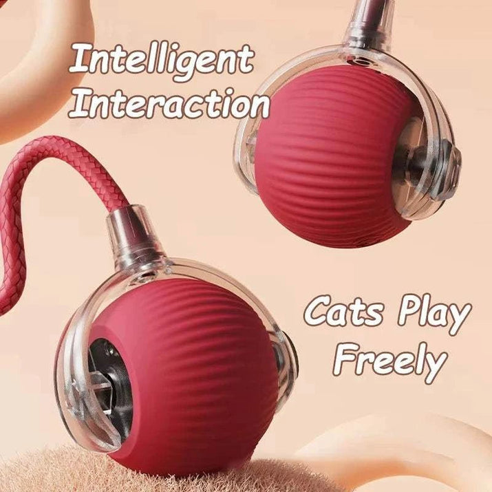 {{ Smart Rolling Dog Ball – Interactive USB Pet Toy }} dog and cat toy from ZoomieGood.
