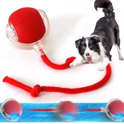Smart Rolling Dog Ball Smart Rolling Dog Ball – Interactive USB Pet Toy