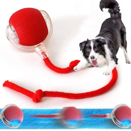 {{ Smart Rolling Dog Ball – Interactive USB Pet Toy }} dog and cat toy from ZoomieGood.