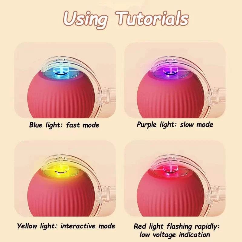 Smart Rolling Dog Ball Smart Rolling Dog Ball – Interactive USB Pet Toy