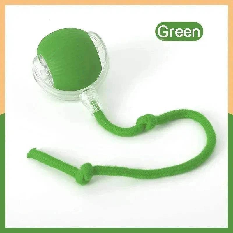 Smart Rolling Dog Ball Green Tail ball Smart Rolling Dog Ball – Interactive USB Pet Toy