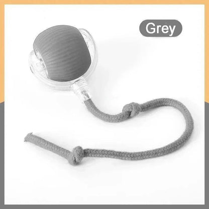 Smart Rolling Dog Ball Grey Tail ball Smart Rolling Dog Ball – Interactive USB Pet Toy