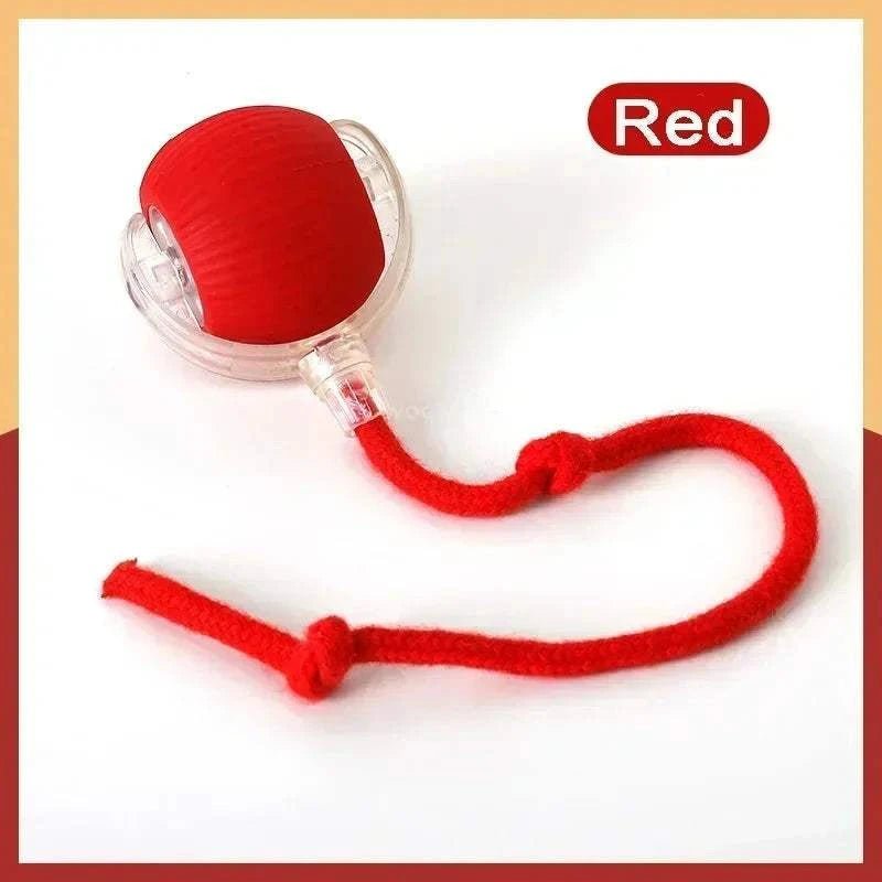 Smart Rolling Dog Ball Red Tail ball Smart Rolling Dog Ball – Interactive USB Pet Toy