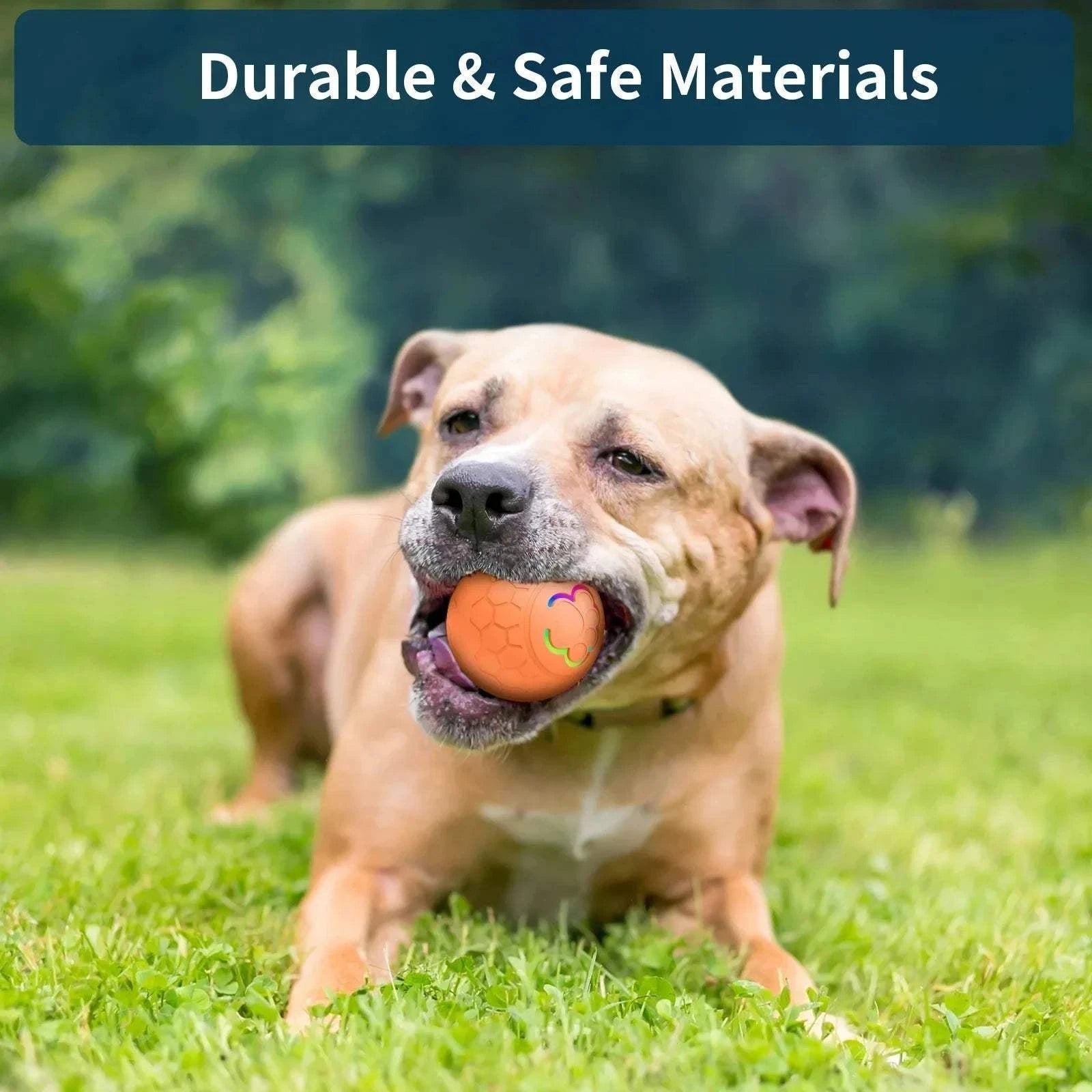 Smart USB Dog Toy Smart USB Pet Toy Ball – Light-Up Bouncing Fun