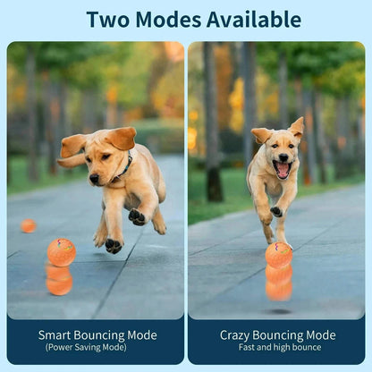 {{ Smart USB Pet Toy Ball – Light-Up Bouncing Fun }} dog and cat toy from ZoomieGood.