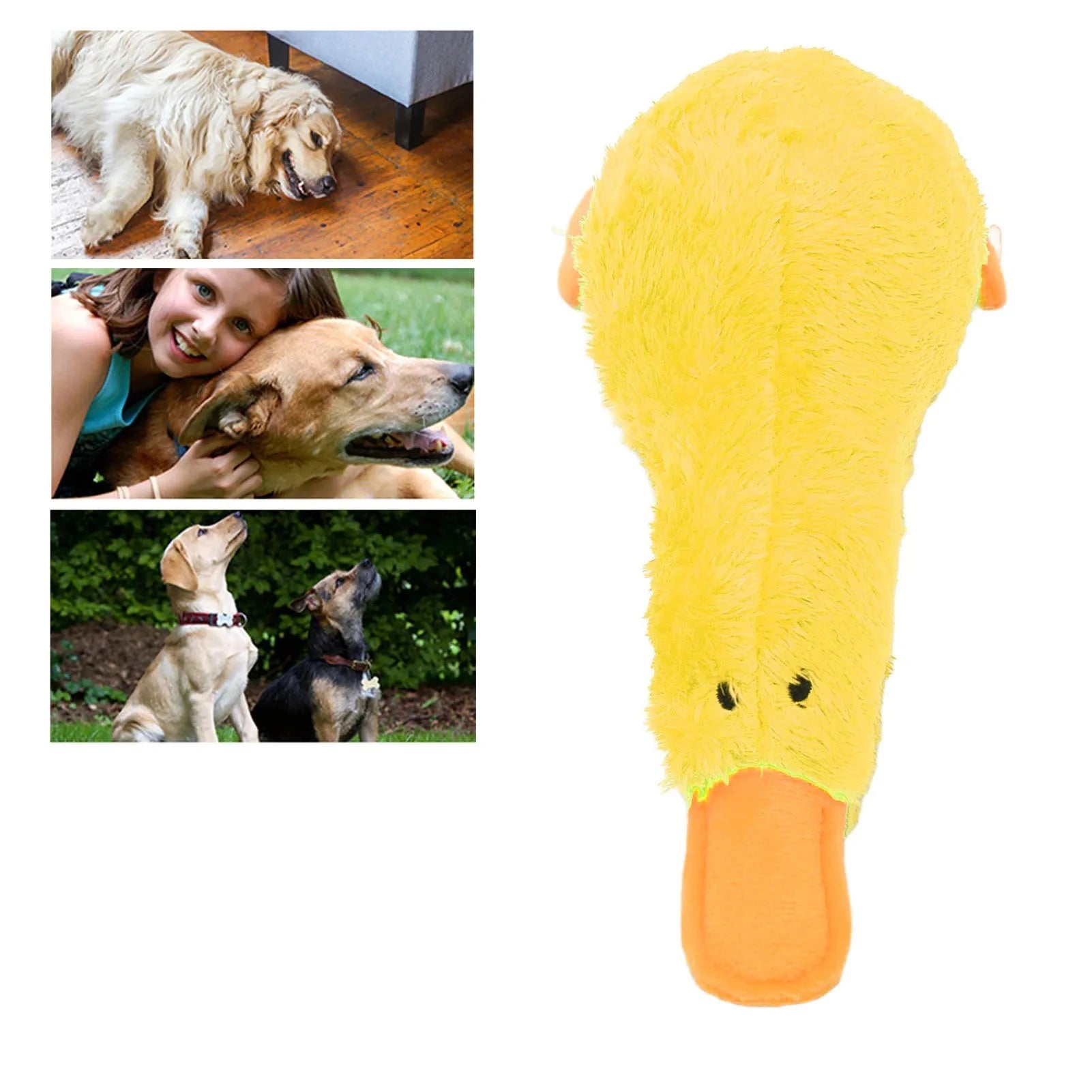 Squeaky Bird Plush Dog Toy Yellow / United States Squeaky Bird Plush Dog Toy – Soft & Interactive