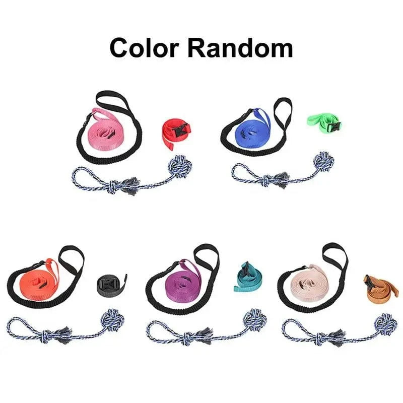 Dog Tree Tug Toy Random Color / United States Tug-of-War Tree Tug Toy for Active Dogs
