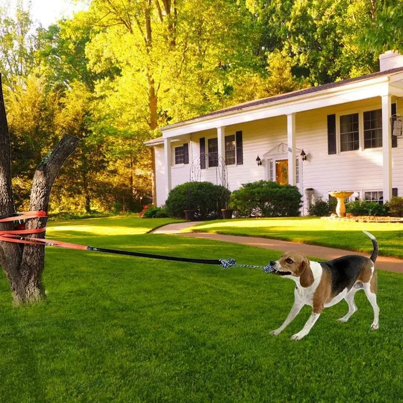 Dog Tree Tug Toy Random Color / United States Tug-of-War Tree Tug Toy for Active Dogs